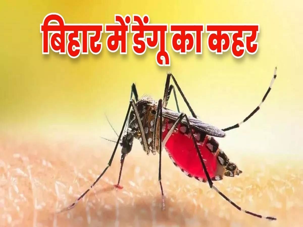 Dengue in Begusarai: बेगूसराय में तेजी से पैर पसार रहा डेंगू, आंकड़ों ने छुआ आसमान, वार्ड पार्षद- 'स्वास्थ्य विभाग छिपा रही आंकड़ा'