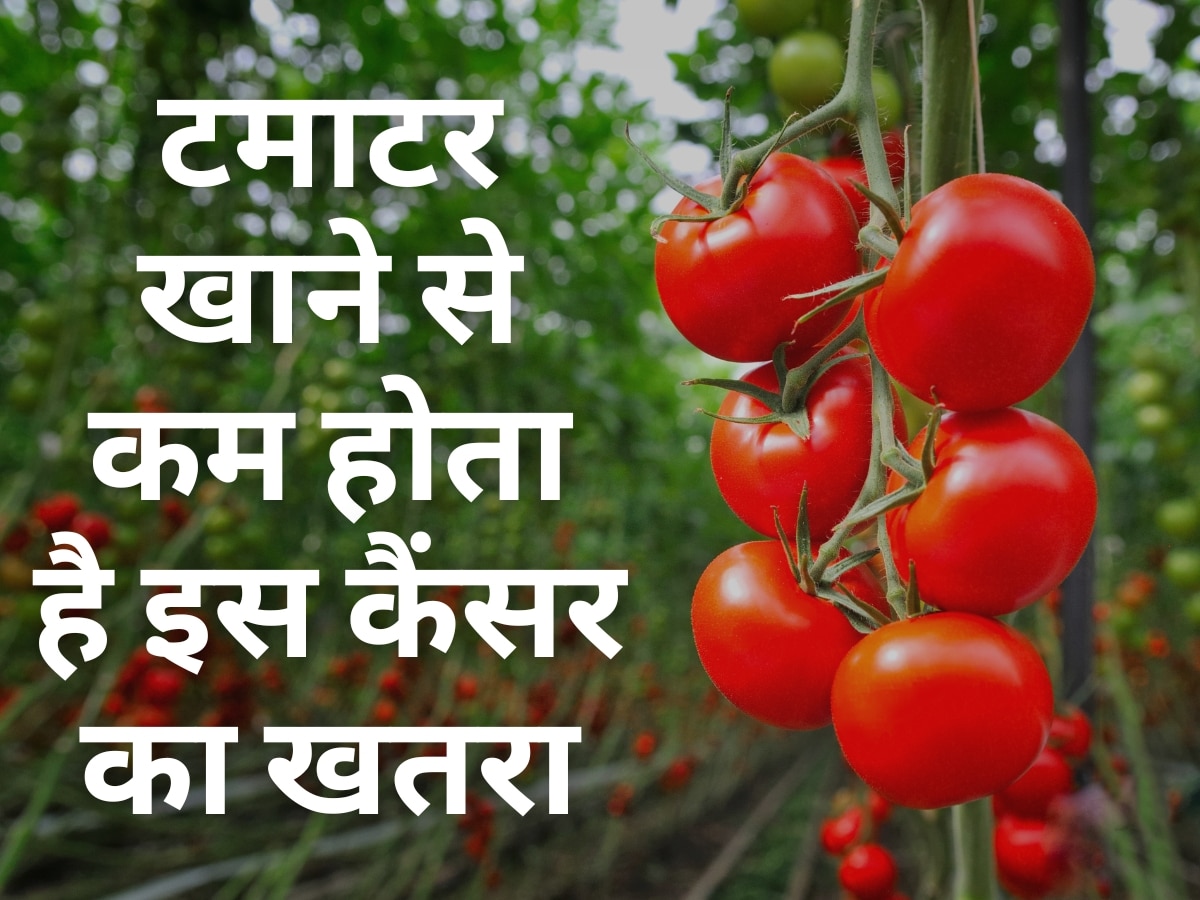 Health Benefits of Tomatoes: पुरुषों के लिए सुपरफूड है टमाटर, Lycopene कम करेंगे इस कैंसर का खतरा