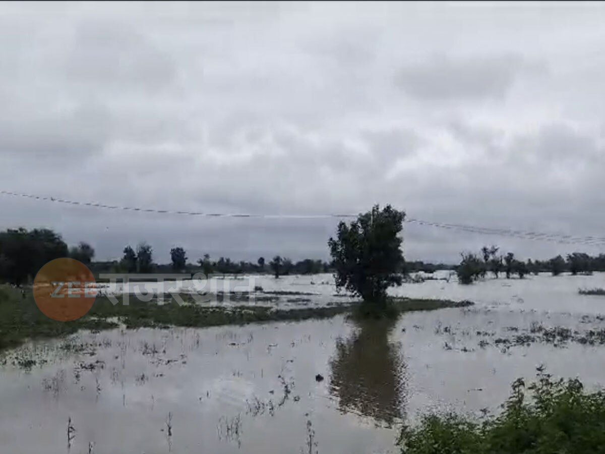राजस्थान: बारिश के कारण खेत जलमग्न, किसानों की फसलें हुई बर्बाद,प्रशासन ने किया अलर्ट जारी