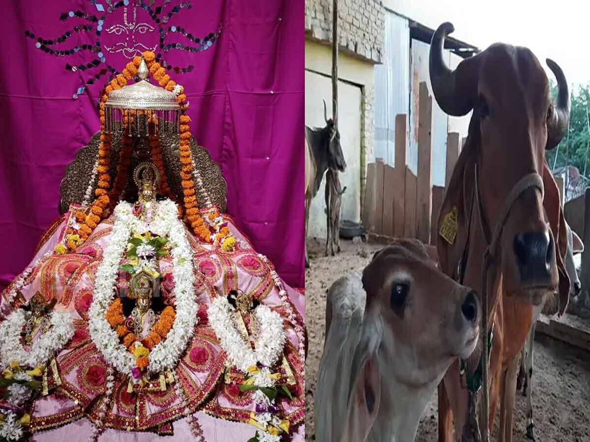 Ayodhya Ram Mandir