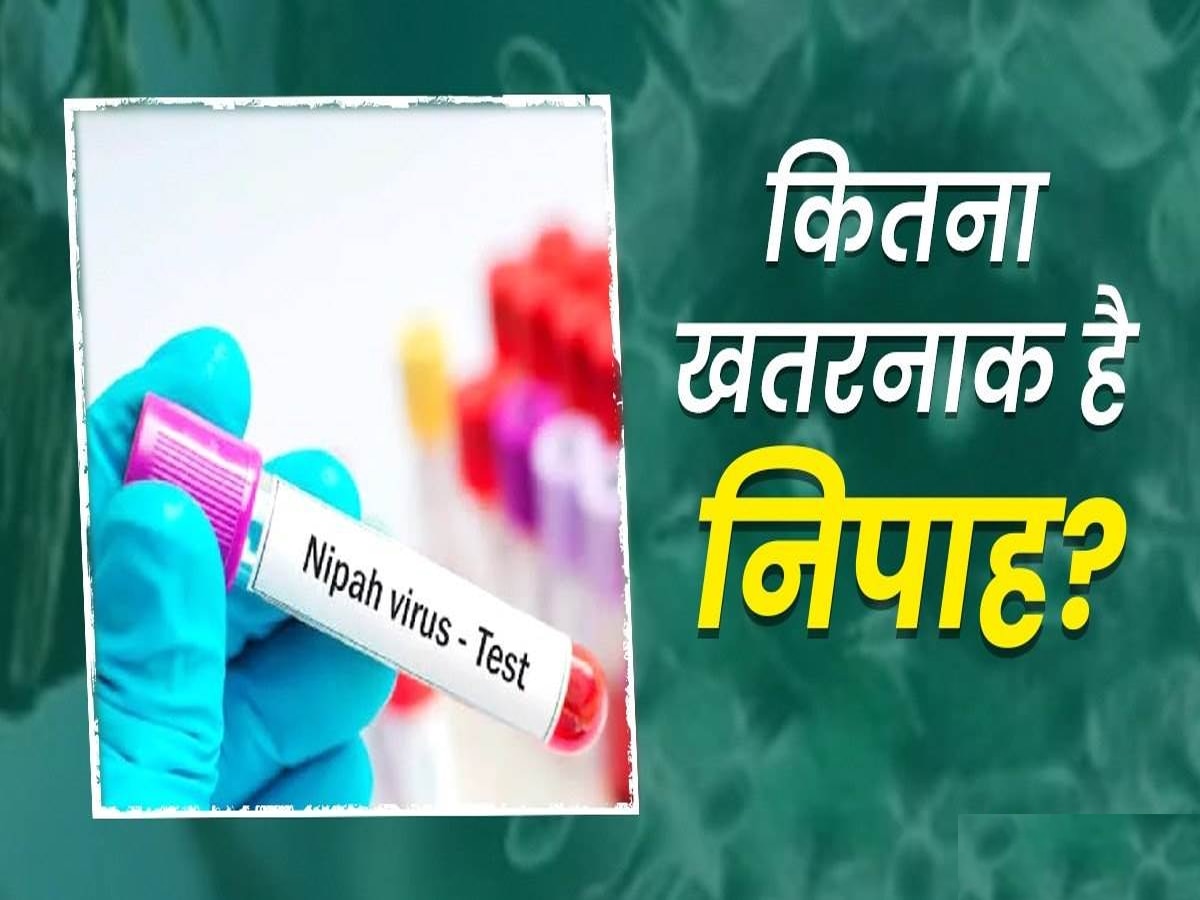 Nipah Virus: कोरोना से भी खतरनाक है निपाह वायरस, आ सकता है तेजी से फैलने वाला वैरिएंट, बरतें सावधानी