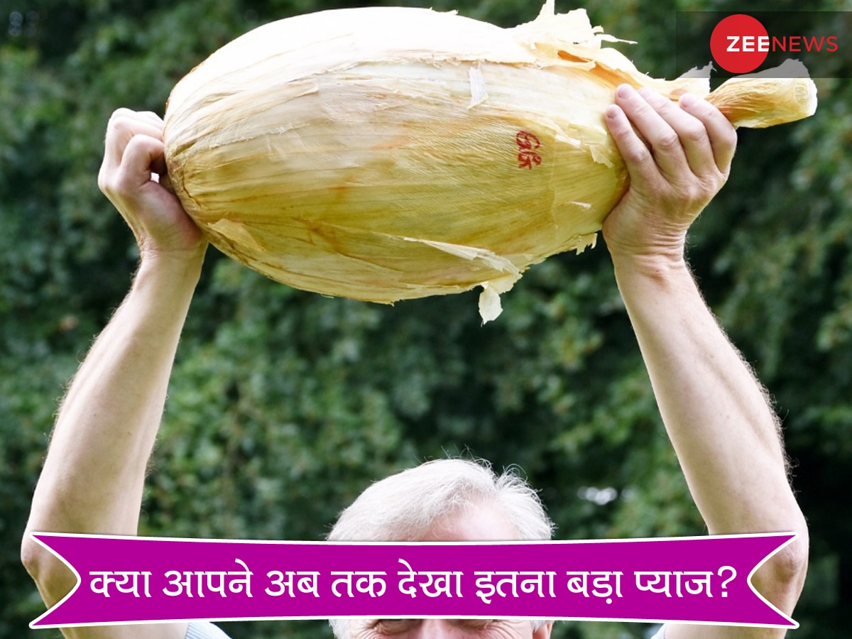 Biggest Onion: किसान ने उगाया 9 किलो का एक प्याज! देखकर भी लोगों को नहीं हो रहा भरोसा