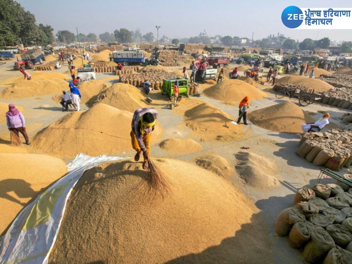 Agriculture News: ਏਸ਼ੀਆ ਦੀ ਸਭ ਤੋਂ ਵੱਡੀ ਅਨਾਜ ਮੰਡੀ 'ਚ 1 ਅਕਤੂਬਰ ਤੋਂ ਝੋਨੇ ਦੀ ਸਰਕਾਰੀ ਖਰੀਦ ਹੋਵੇਗੀ ਸ਼ੁਰੂ Agriculture News: ਏਸ਼ੀਆ ਦੀ ਸਭ ਤੋਂ ਵੱਡੀ ਅਨਾਜ ਮੰਡੀ 'ਚ 1 ਅਕਤੂਬਰ ਤੋਂ ਝੋਨੇ ਦੀ ਸਰਕਾਰੀ ਖਰੀਦ ਹੋਵੇਗੀ ਸ਼ੁਰੂ