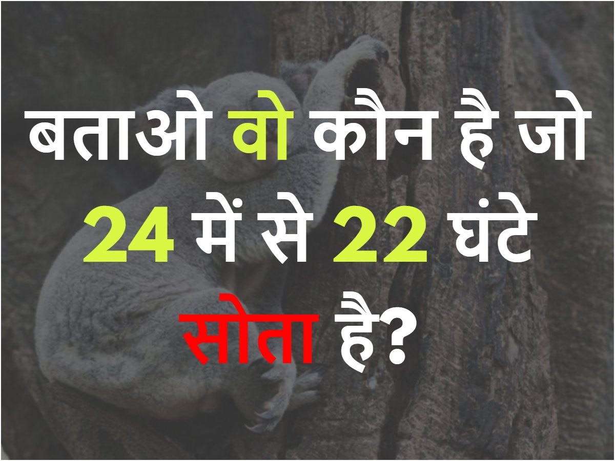 Quiz: बताओ वो कौन है जो 24 में से 22 घंटे सोता है? 