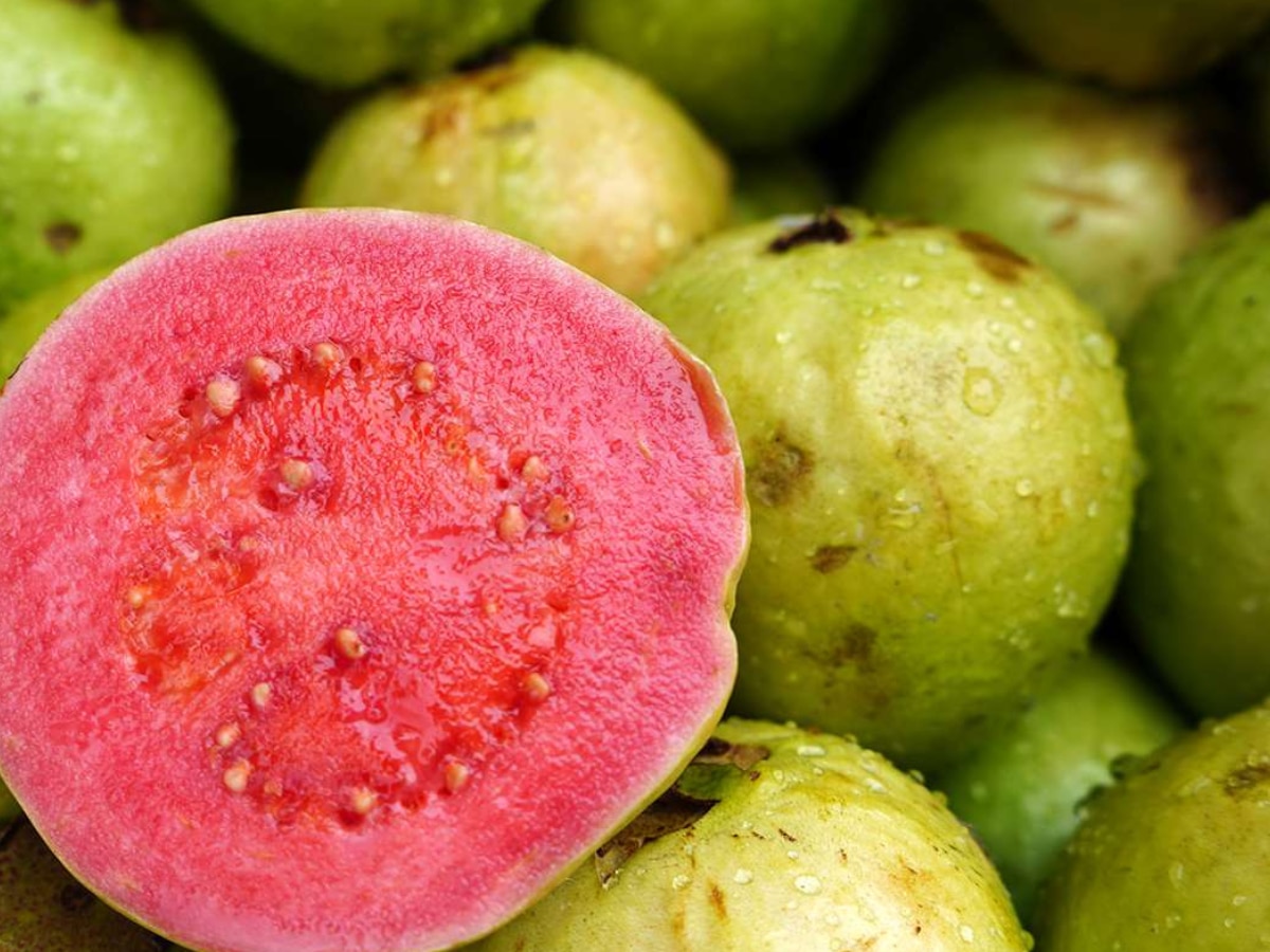 gk quiz question answer fruits for vitamin a c wale fal विटामिन A और C की कमी में कौन सा फल