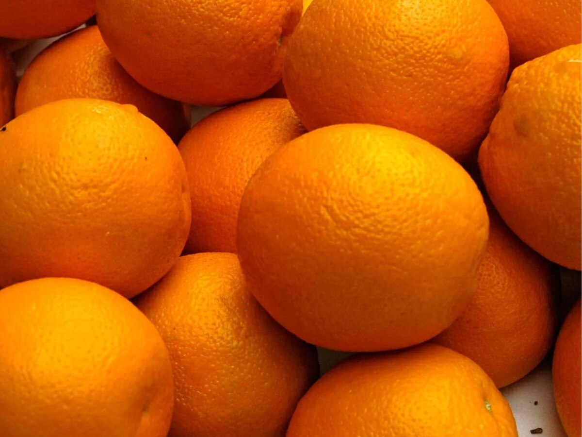 gk quiz question answer fruits for vitamin a c wale fal विटामिन A और C की कमी में कौन सा फल