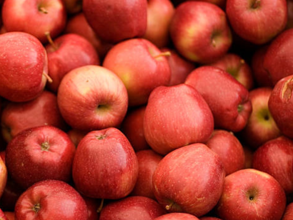 gk quiz question answer fruits for vitamin a c wale fal विटामिन A और C की कमी में कौन सा फल