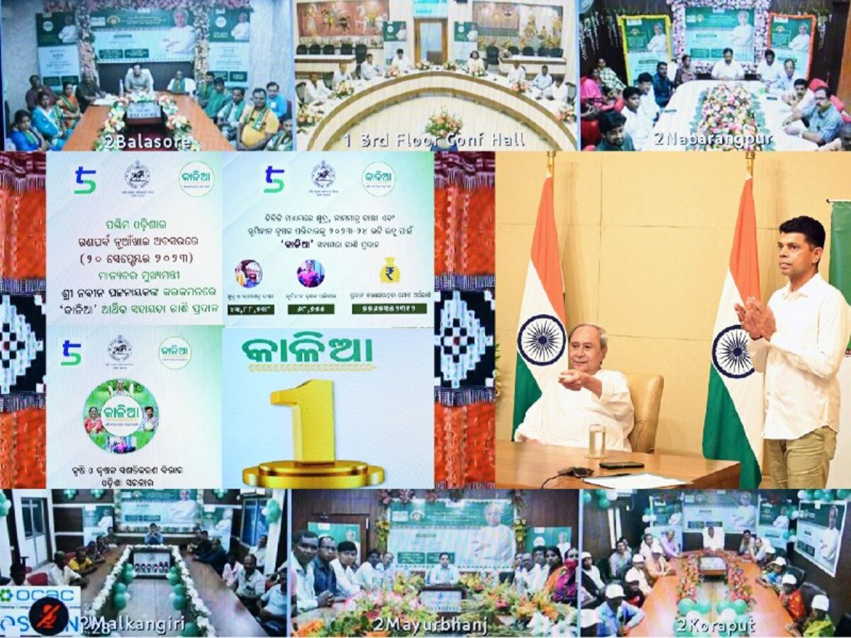 KALIA Scheme Assistance: ନୂଆଁଖାଇ ଅବସରରେ ୪୪ ଲକ୍ଷ ୫୬ ହଜାର ଚାଷୀ ପରିବାରକୁ ମିଳିଲା କାଳିଆ ସହାୟତା 