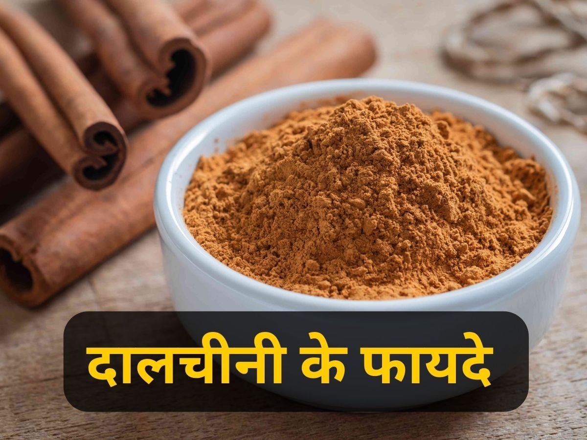 Polyphenol से भरपूर दालचीनी से होंगे ये 10 फायदे, स्वाद के साथ अच्छी सेहत की गारंटी