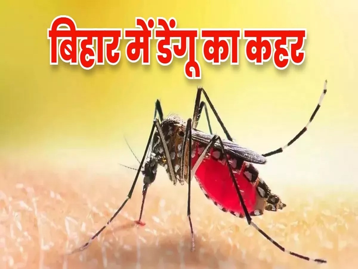 Dengue in Bihar: बिहारवासी हो जाएं सावधान! तेजी से पैर पसार रहा डेंगू, एक दिन में मिले 333 नए केस