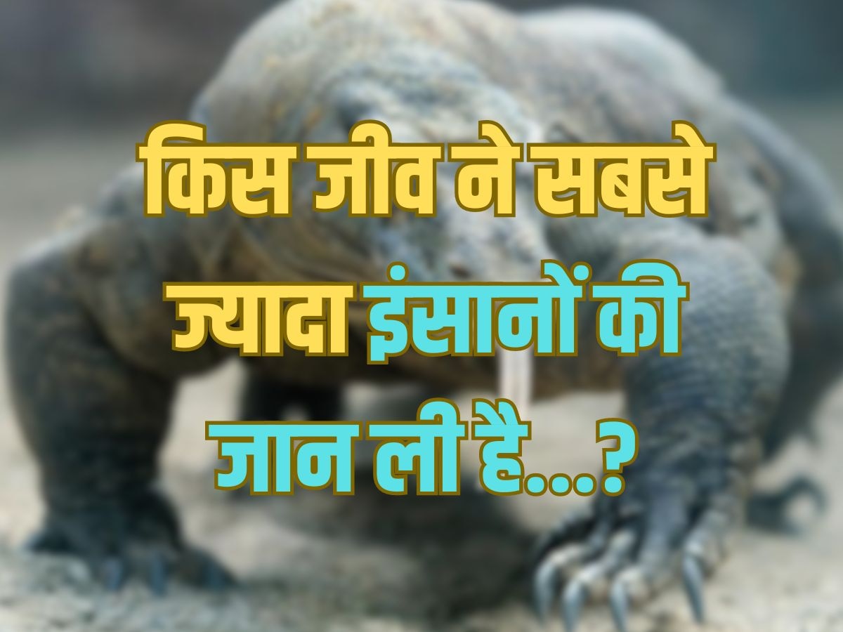 Trending Quiz : किस जीव ने सबसे ज्यादा इंसानों की जान ली है?