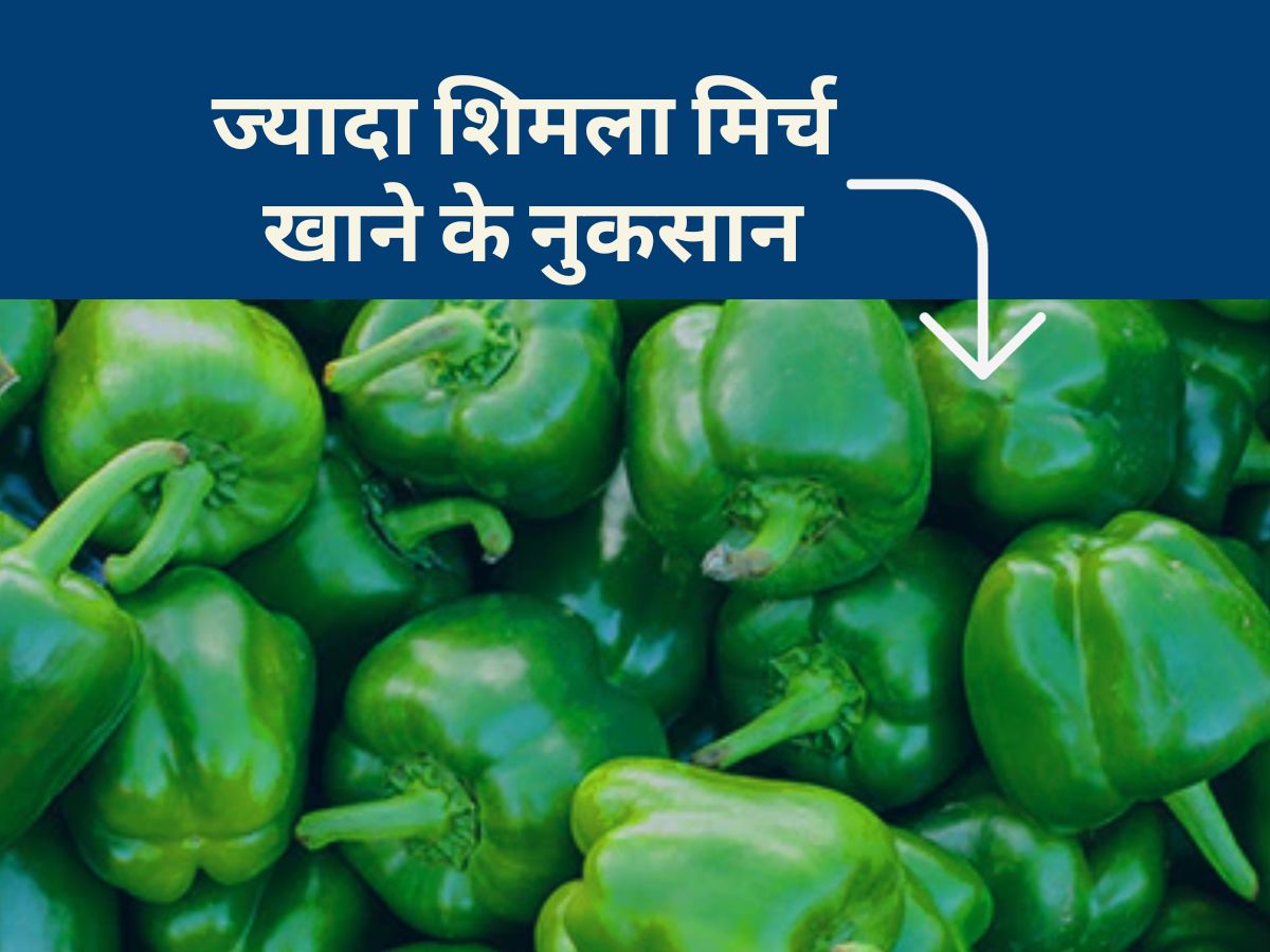 What are the Side Effects of Eating Too Much Capsaicin Rich Capsicum