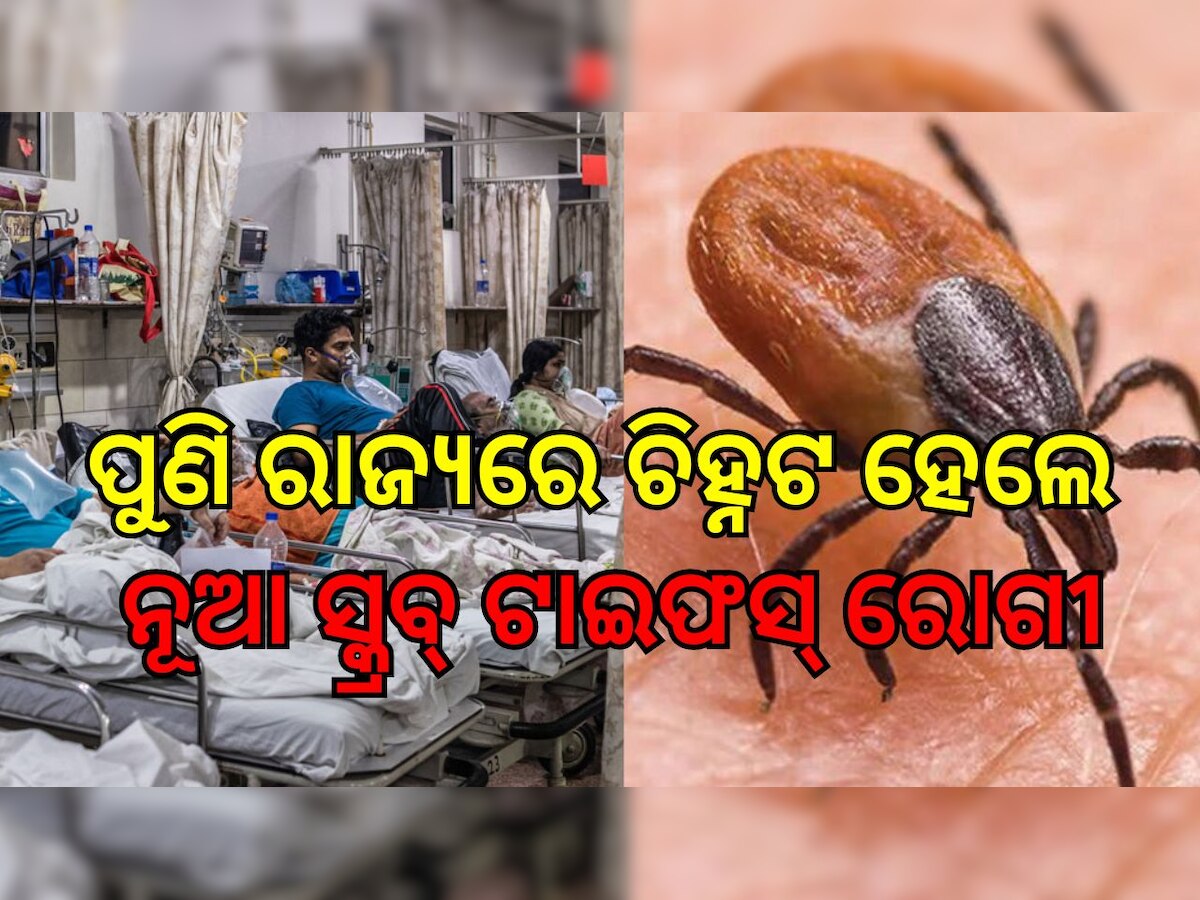 Scrub Typhus: ପୁଣି ରାଜ୍ୟରେ ଚିହ୍ନଟ ହେଲେ ନୂଆ ସ୍କ୍ରବ୍ ଟାଇଫସ ରୋଗୀ, ବଢ଼ିଲା ଚିନ୍ତା...