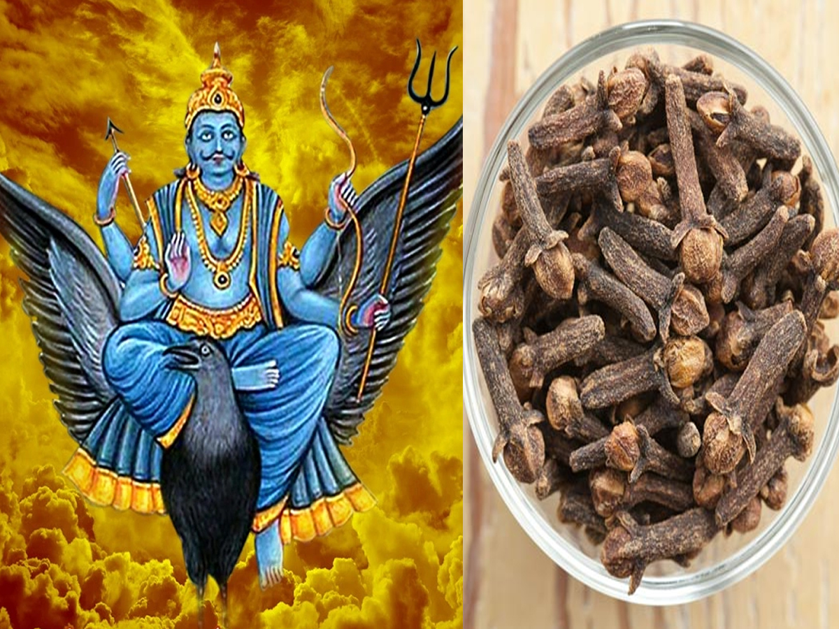 शनिवार की शाम कर लें लौंग का ये टोटका, खत्म होगा शनि दोष, होंगे मालामाल शनिवार की शाम कर लें लौंग का ये टोटका, खत्म होगा शनि दोष, होंगे मालामाल