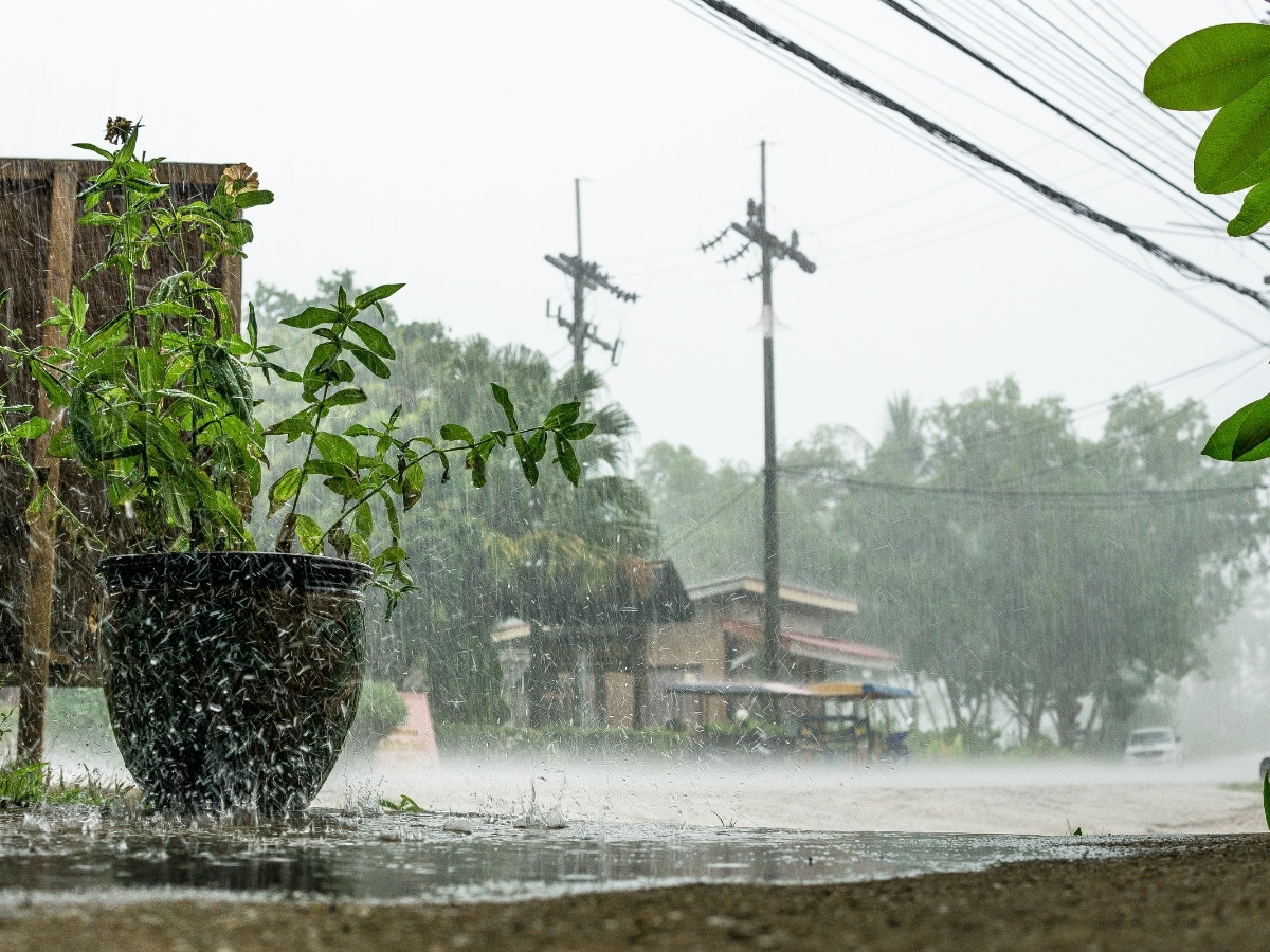 इन राज्यों में कहर ढाएगी बारिश, लोगों की बढ़ेगी मुसीबत; मौसम विभाग ने जारी किया येलो अलर्ट