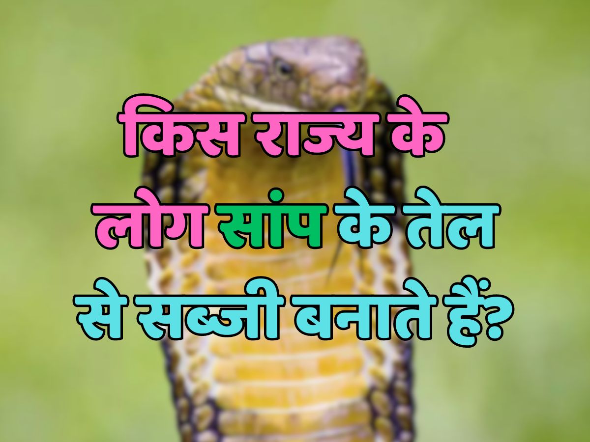 Trending Quiz : किस राज्य में लोग सांप के तेल से सब्जी बनाते हैं? Trending Quiz : किस राज्य में लोग सांप के तेल से सब्जी बनाते हैं?