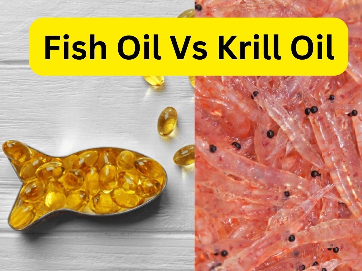 Fish Oil और Krill Oil में कौन सै तेल है ज्यादा फायदेमंद, न्यूट्रिशनिस्ट देंगे जवाब