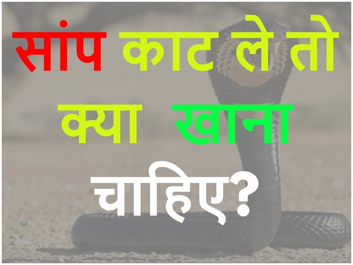 Quiz: सांप के काटने पर क्या खाना चाहिए?