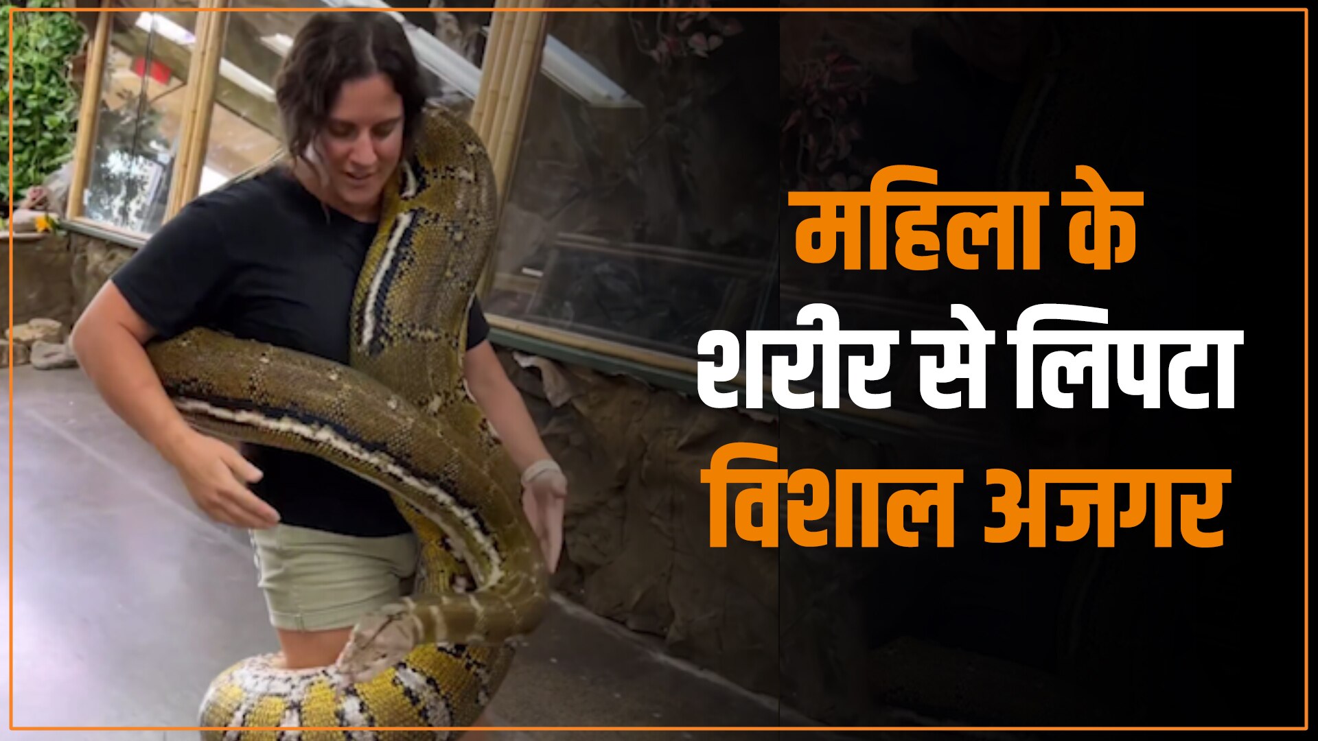 shocking video of women who wrapped with large Python viral at social ...
