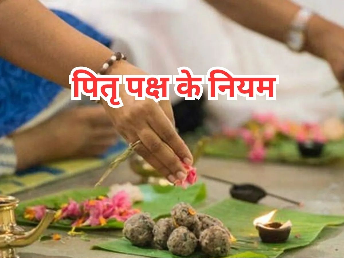 Pitru Paksha Rules: पितृपक्ष में गलती से भी न खाएं ये दाल-सब्जियां, पितर हो जाएंगे नाराज; जान लें श्राद्ध के नियम