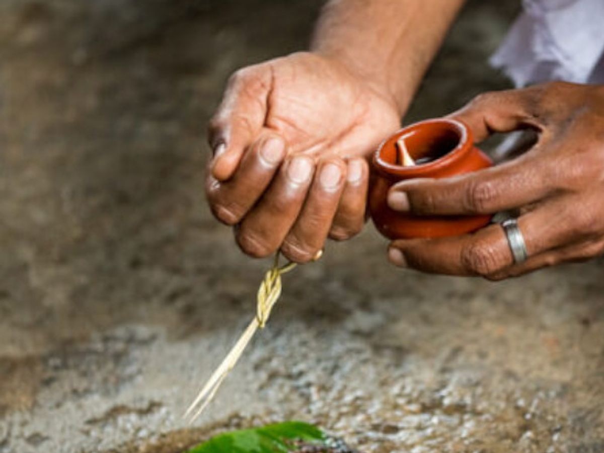 तर्पण करते समय कुश धारण करना क्‍यों जरूरी? वैज्ञानिक महत्‍व भी जान लें