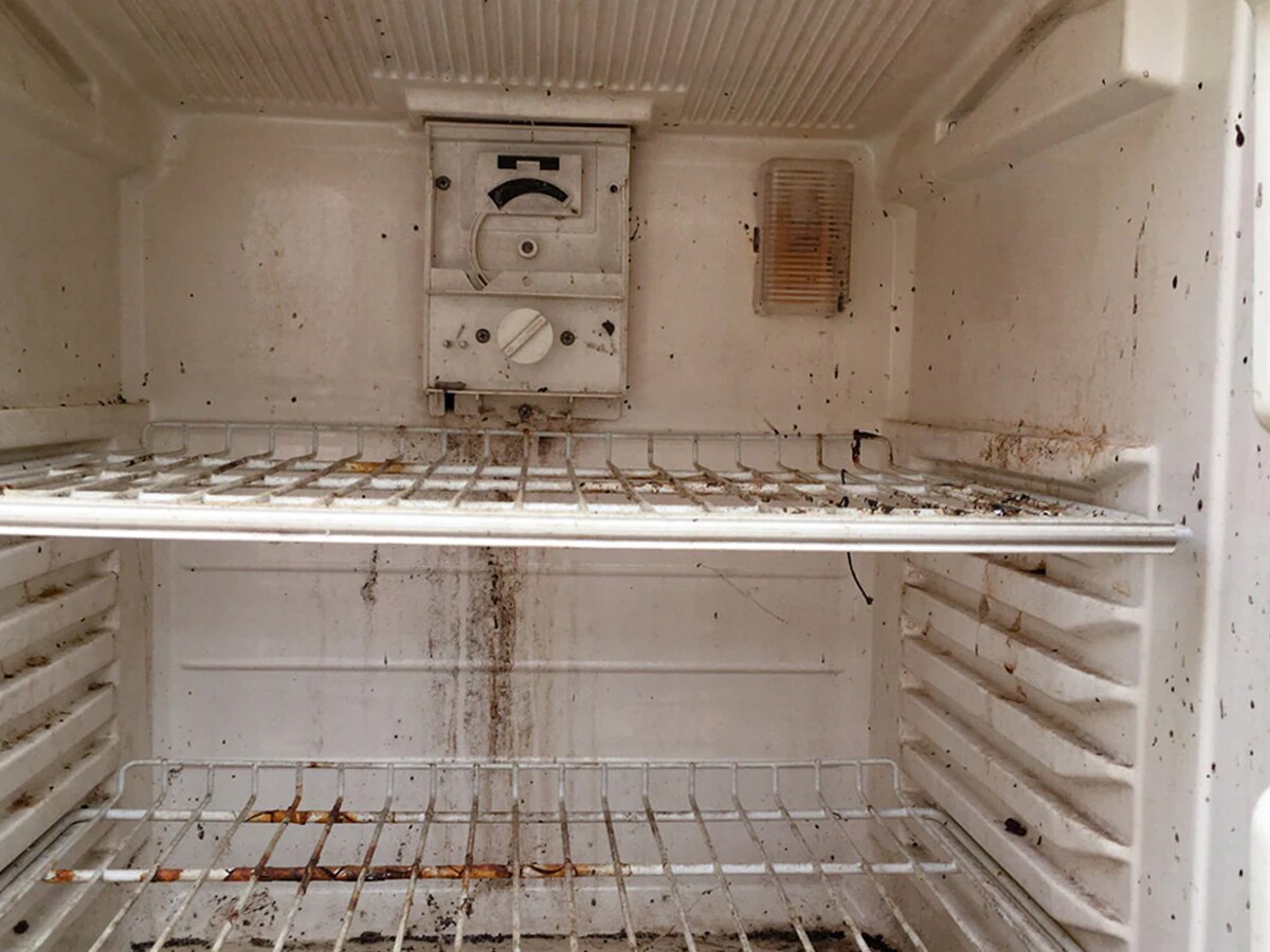 refrigerator Cleaning Trick How To Clean Fridge With Baking Soda शीशे