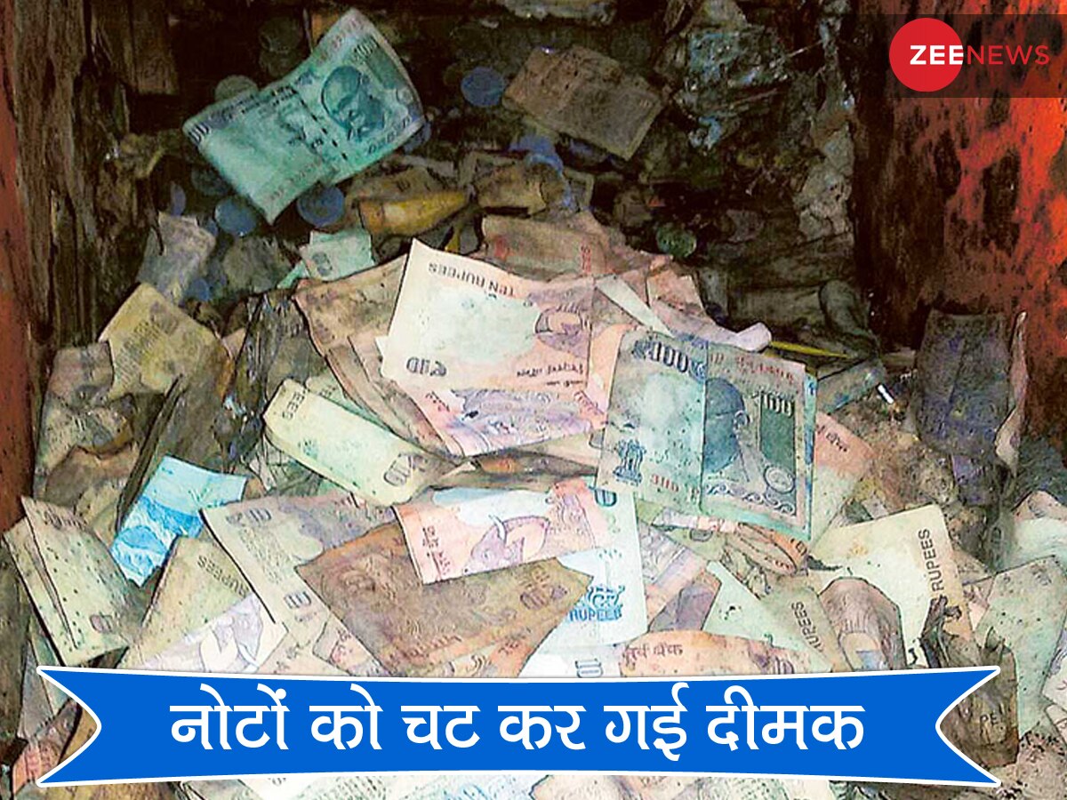 बेटी की शादी के लिए बैंक के लॉकर में छिपाकर रखे 18 लाख रुपये, खा गया दीमक और फिर