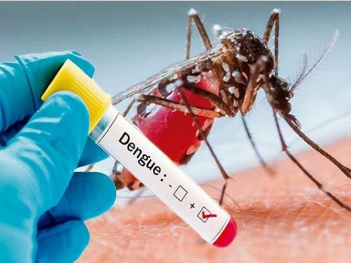 Dengue Symptoms (ସୌ: ସୋସିଆଲ ମିଡିଆ)