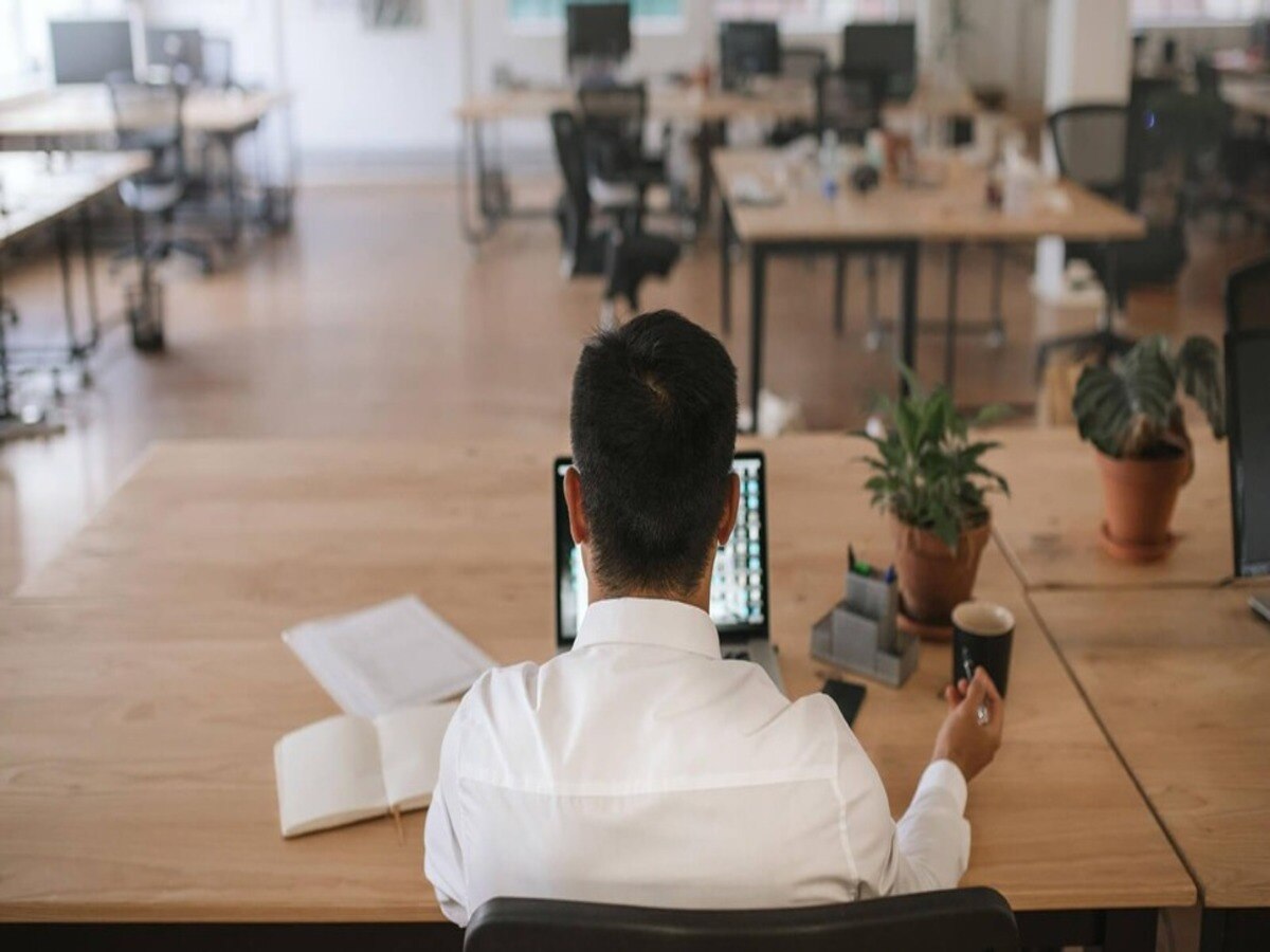 lucky plant for office