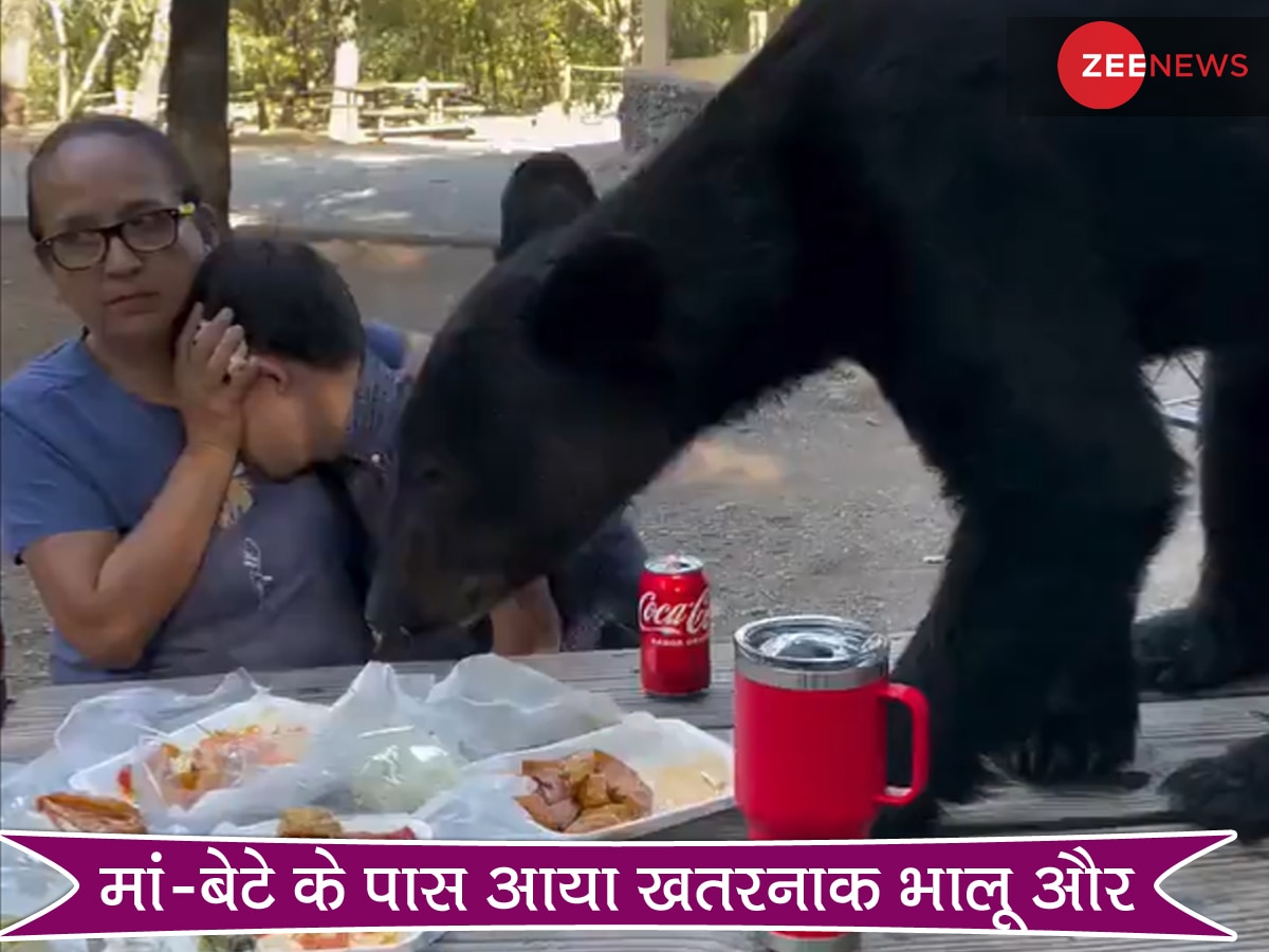 पार्क में बेटे संग पिकनिक मना रही मां के पास आया खतरनाक भालू, फिर देखें सांसें रोक देने वाला Video