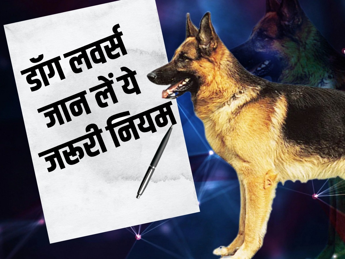 Ghaziabad: कुत्ते पालने से पहले जान लें नए नियम, रजिस्ट्रेशन फीस बढ़कर 1000 रुपये और जुर्माना हुआ दोगुना 