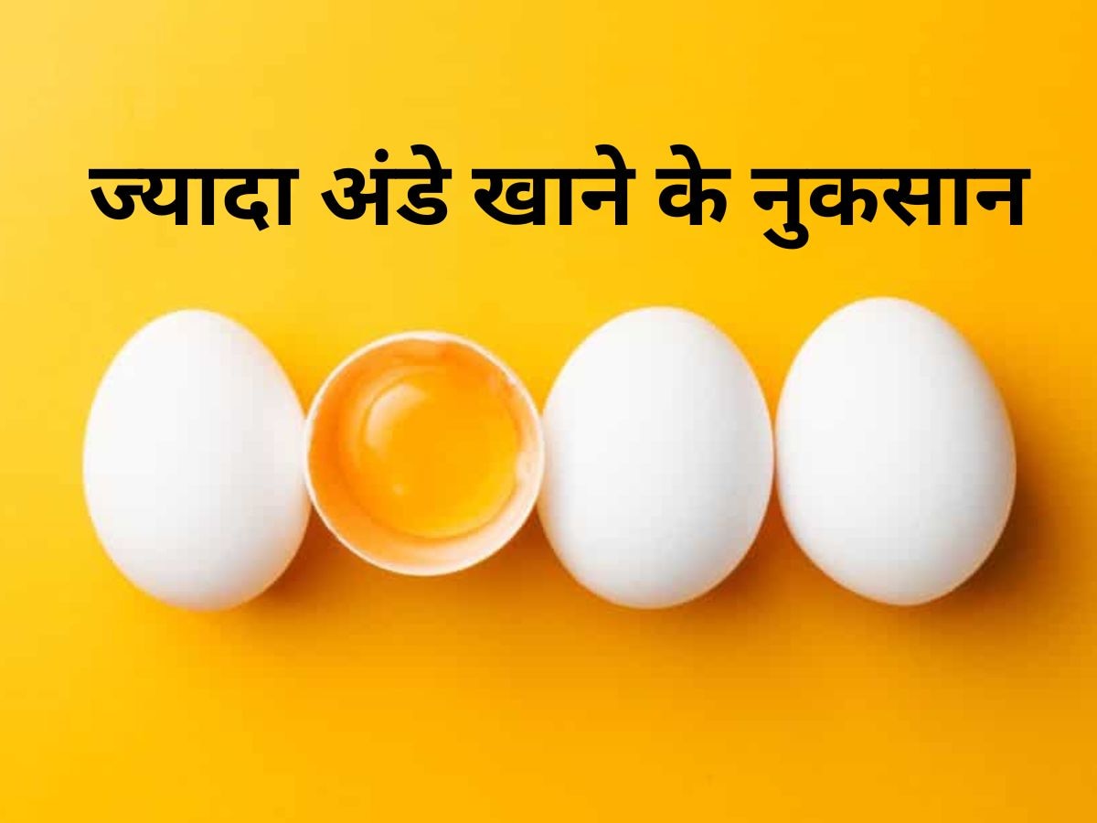 Egg: Protein से भरपूर अंडे का अधिक सेवन क्यों है नुकसानदेह? डाइटीशियन ने बताई बड़ी वजह