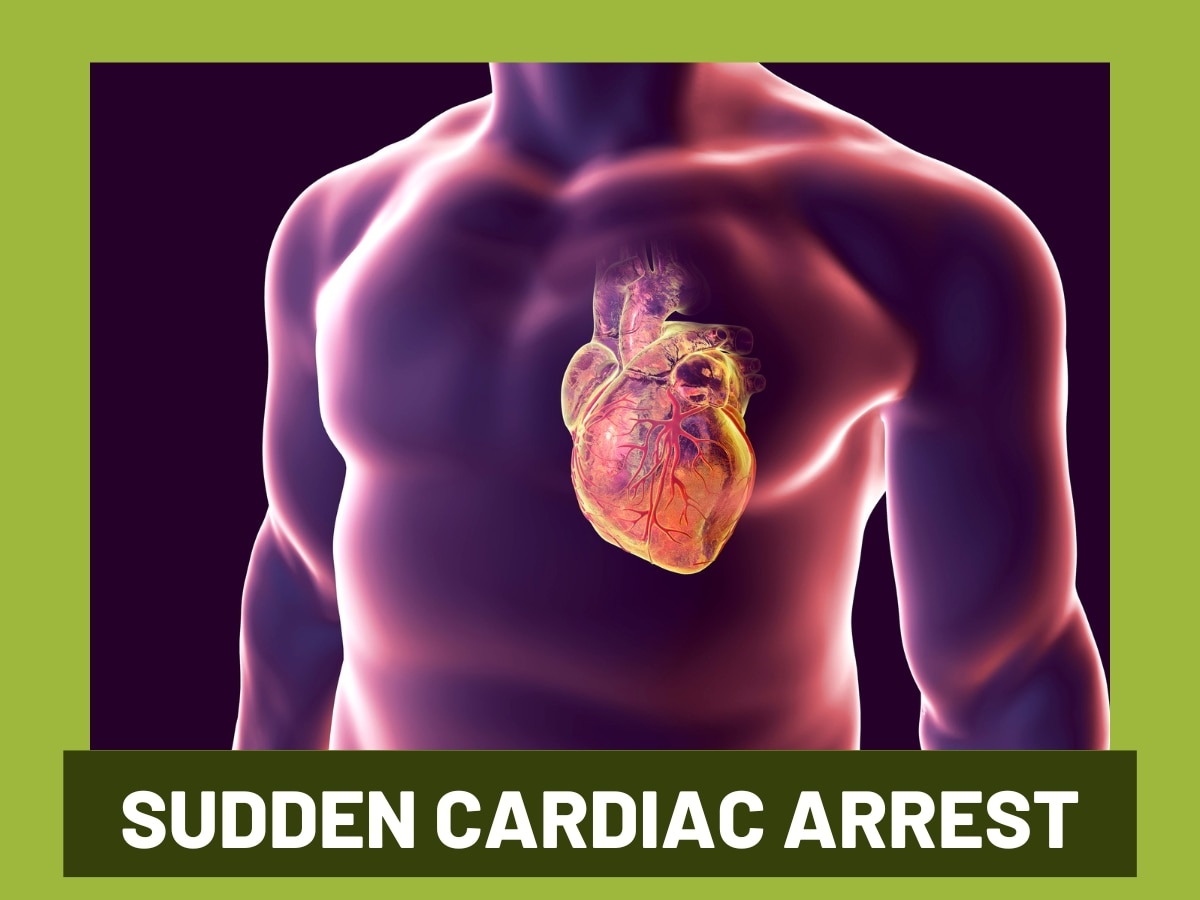 World Heart Day Why Does Sudden Cardiac Arrest Occur How To Identify Underlying Conditions That