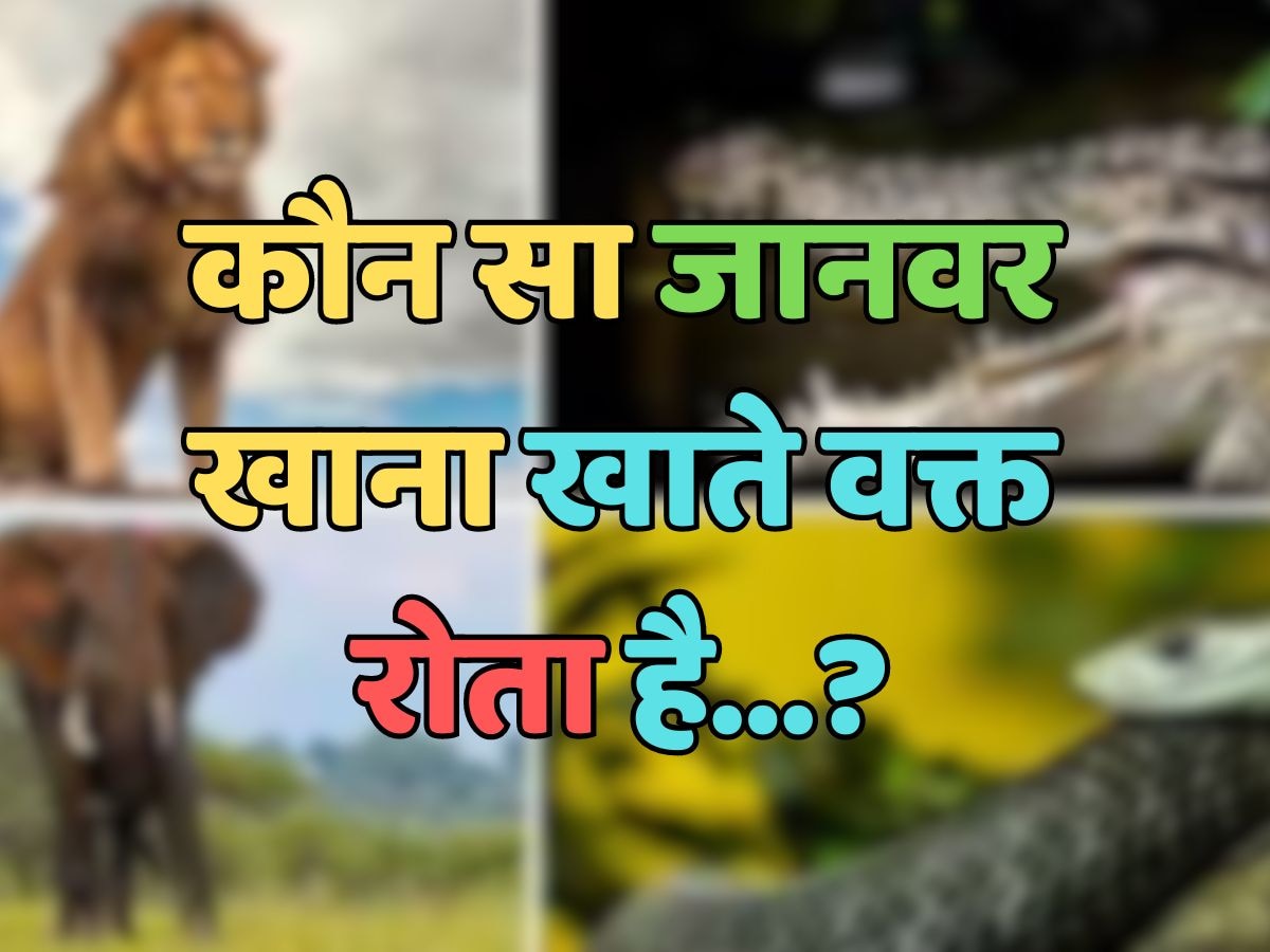 Trending Quiz : कौन सा जानवर खाना खाते वक्त रोता है?