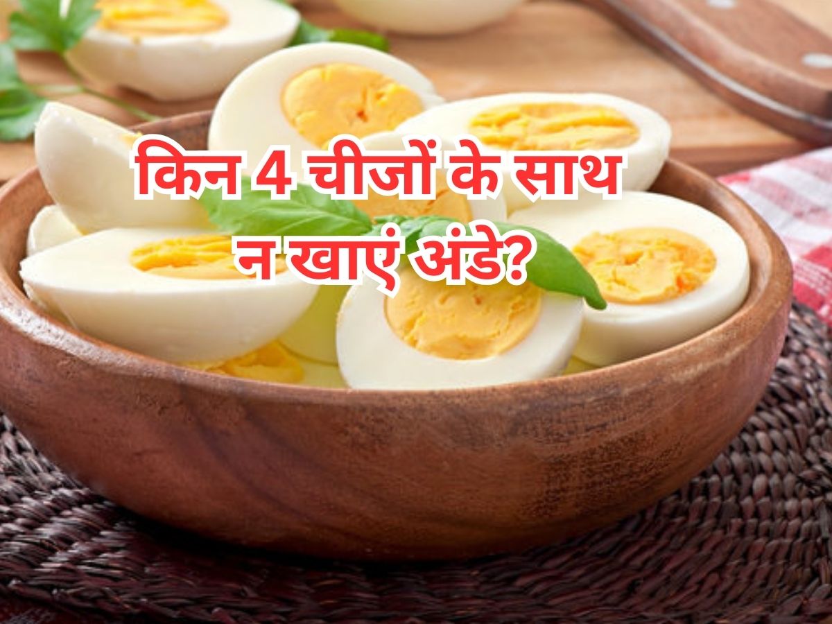 Egg Non Combination Foods: इन 4 चीजों के साथ भूलकर भी न खाएं अंडे, वरना बिगड़ जाएगी हालत; जान लें नाम Egg Non Combination Foods: इन 4 चीजों के साथ भूलकर भी न खाएं अंडे, वरना बिगड़ जाएगी हालत; जान लें नाम