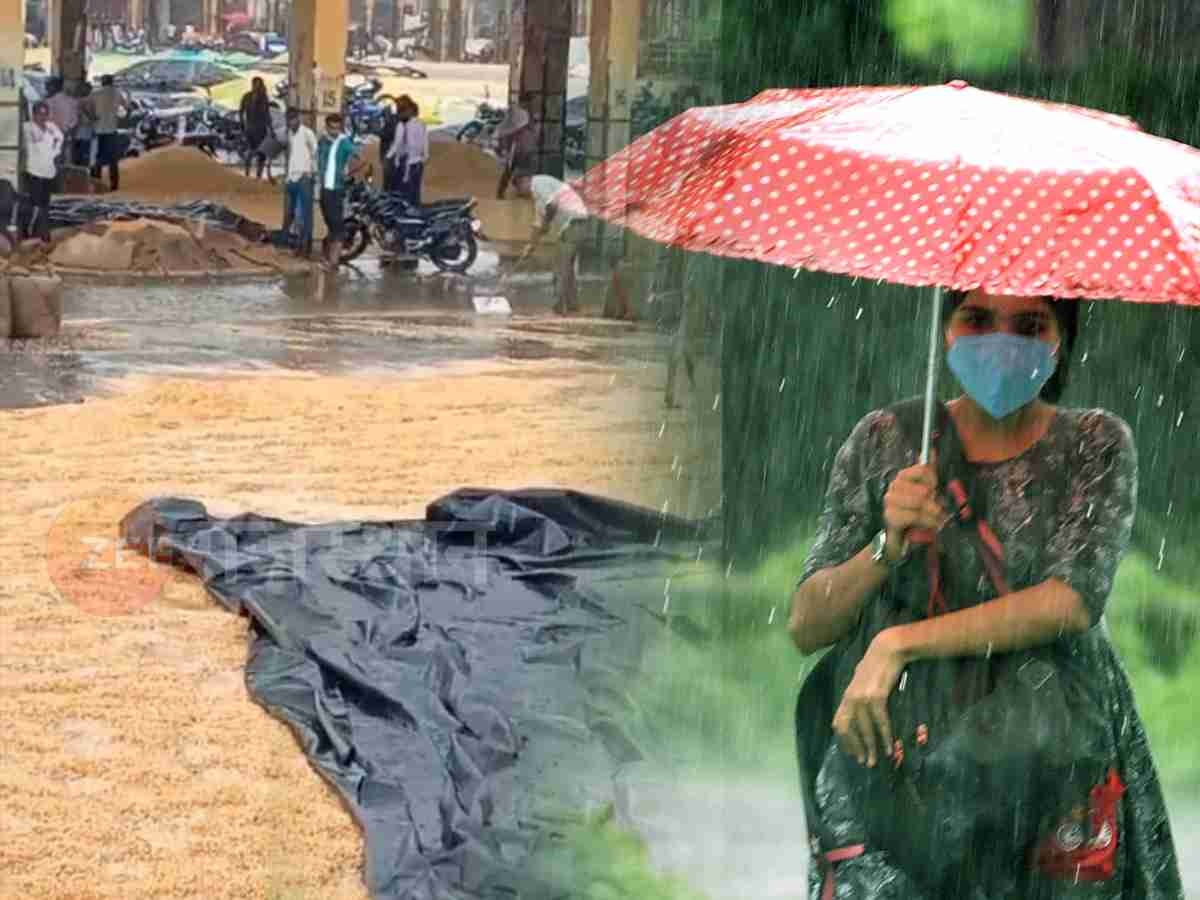 मानसून विदा! राजस्थान के 4 संभागों में 1 अक्टूबर तक बारिश, बारां में बर्बाद हुई सोयाबीन और उड़द