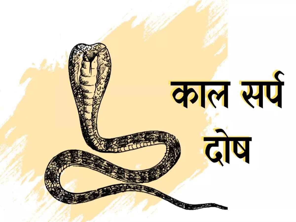 Sarva Pitru Amavasya 2023 Shradh 14 october date vidhi upay puja Sarva Pitru Amavasya 2023