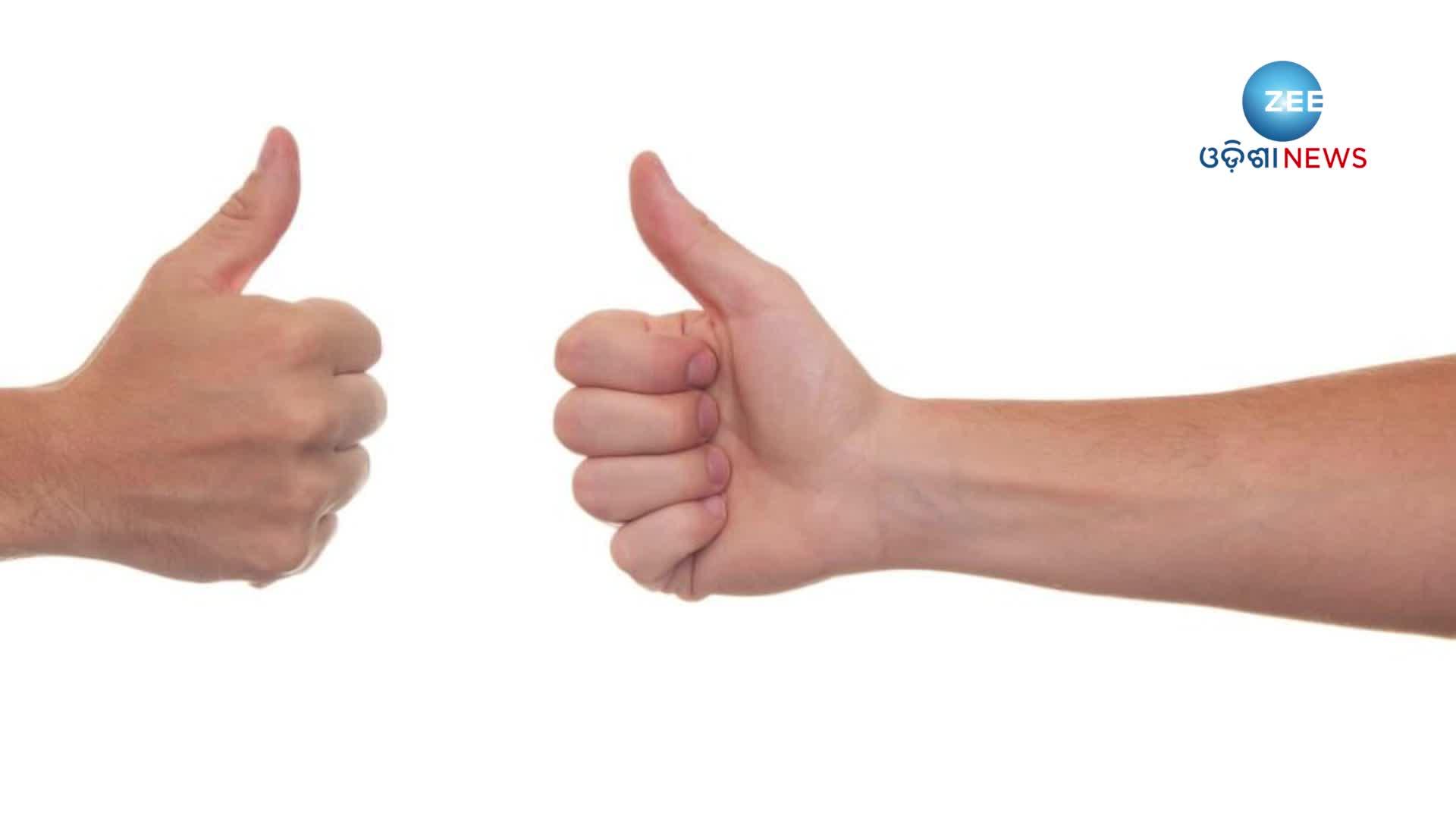 Your Hand Finger reveals these personality traits | Astro Tips For ...