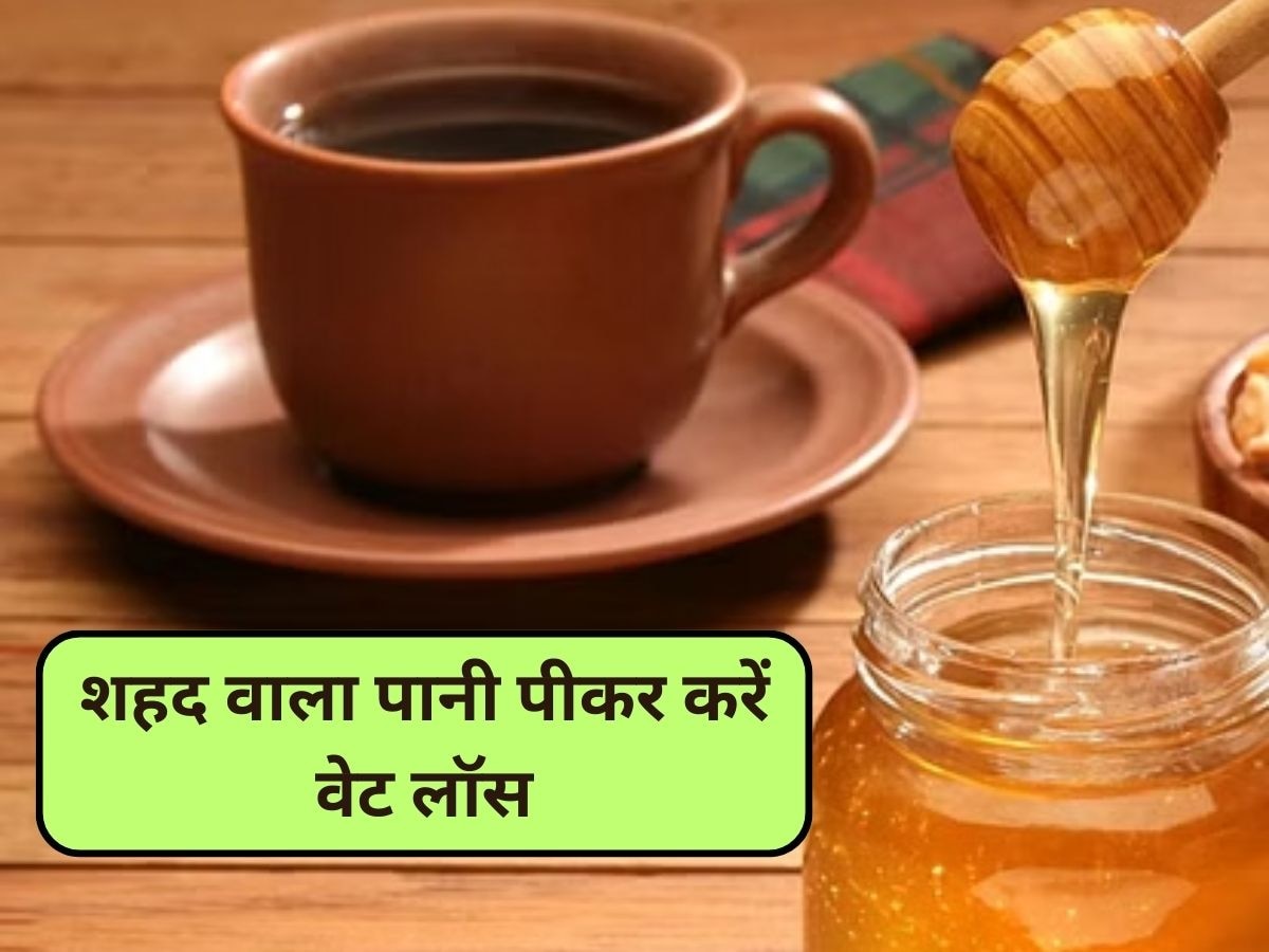 Honey For Weight Loss: तेजी से बढ़ते मोटापे को करना है कंट्रोल? गुनगुने पानी में ये एक चीज मिलाकर पिएं