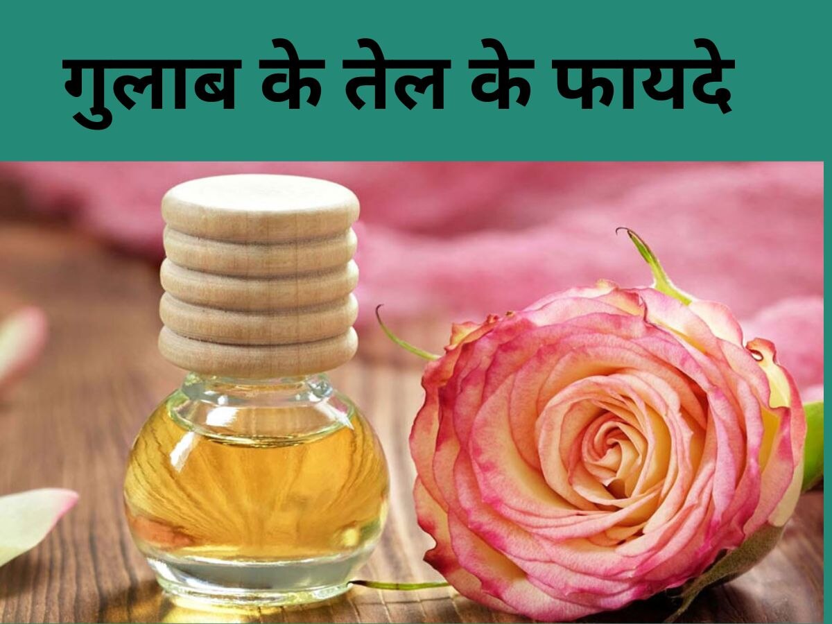 Rose Oil: गुलाब जल ही नहीं, रोज ऑयल से भी मिलते हैं बेशुमार फायदे, जानिए कैसे करें यूज