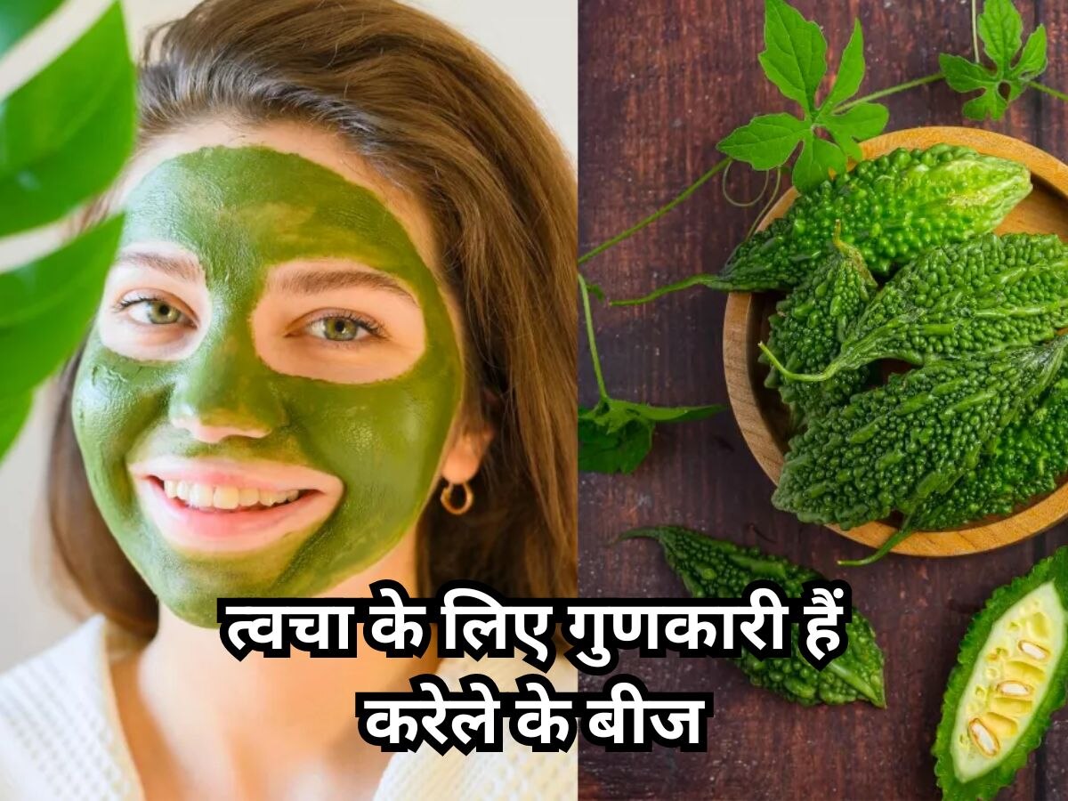 Face Pack Tips: चाहती हैं चमकदार और निखरी हुई त्वचा? बस एक बार लगाएं करेले से बना ये फेस पैक 