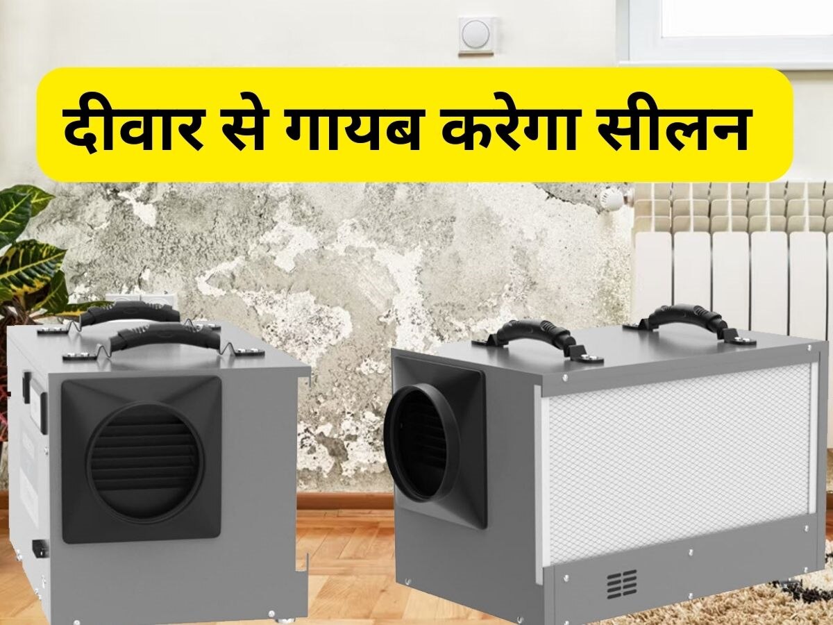 use wall dehumidifier to absorb moisture in your home check details