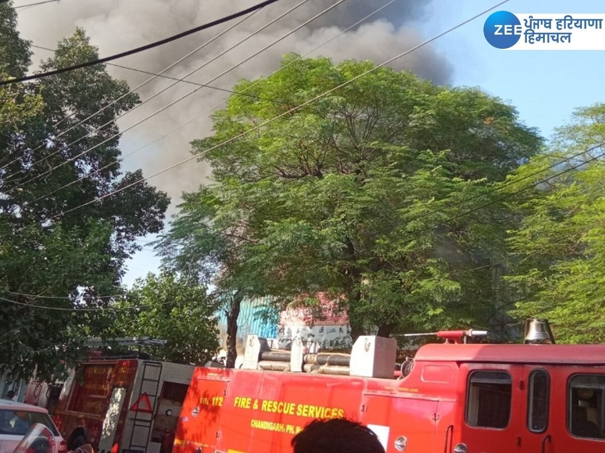 Chandigarh Fire Update: ਚੰਡੀਗੜ੍ਹ ਦੇ ਇੰਡਸਟਰੀਅਲ ਏਰੀਆ ਫੇਜ਼-2 'ਚ ਲੱਗੀ ਅੱਗ,  ਫਾਇਰ ਬ੍ਰਿਗੇਡ ਦੀਆਂ ਗੱਡੀਆਂ ਪਹੁੰਚੀਆਂ