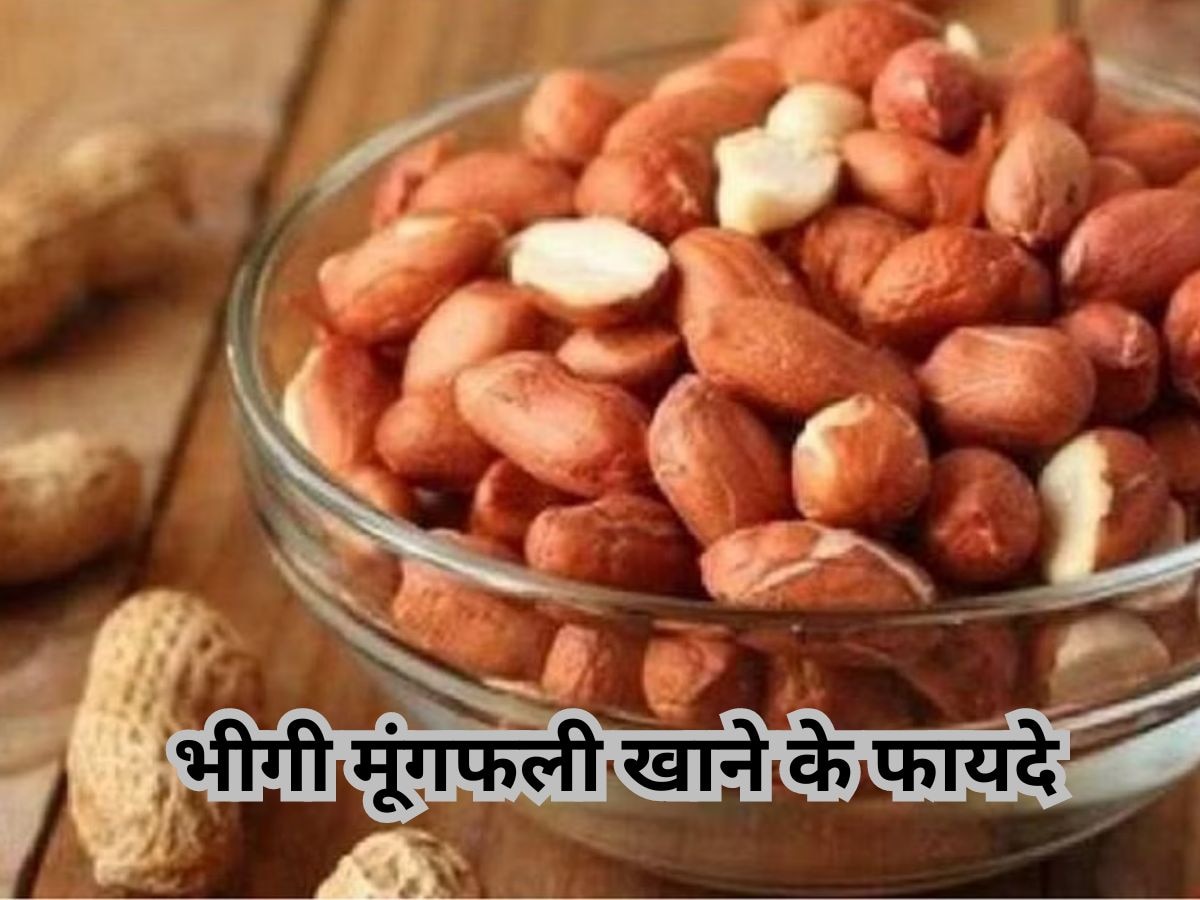 Peanuts Benefits: बीमारियों से बचे रहना है तो मूंगफली को इस तरह खाना शुरू करें, मिलेंगे अद्भुत फायदे