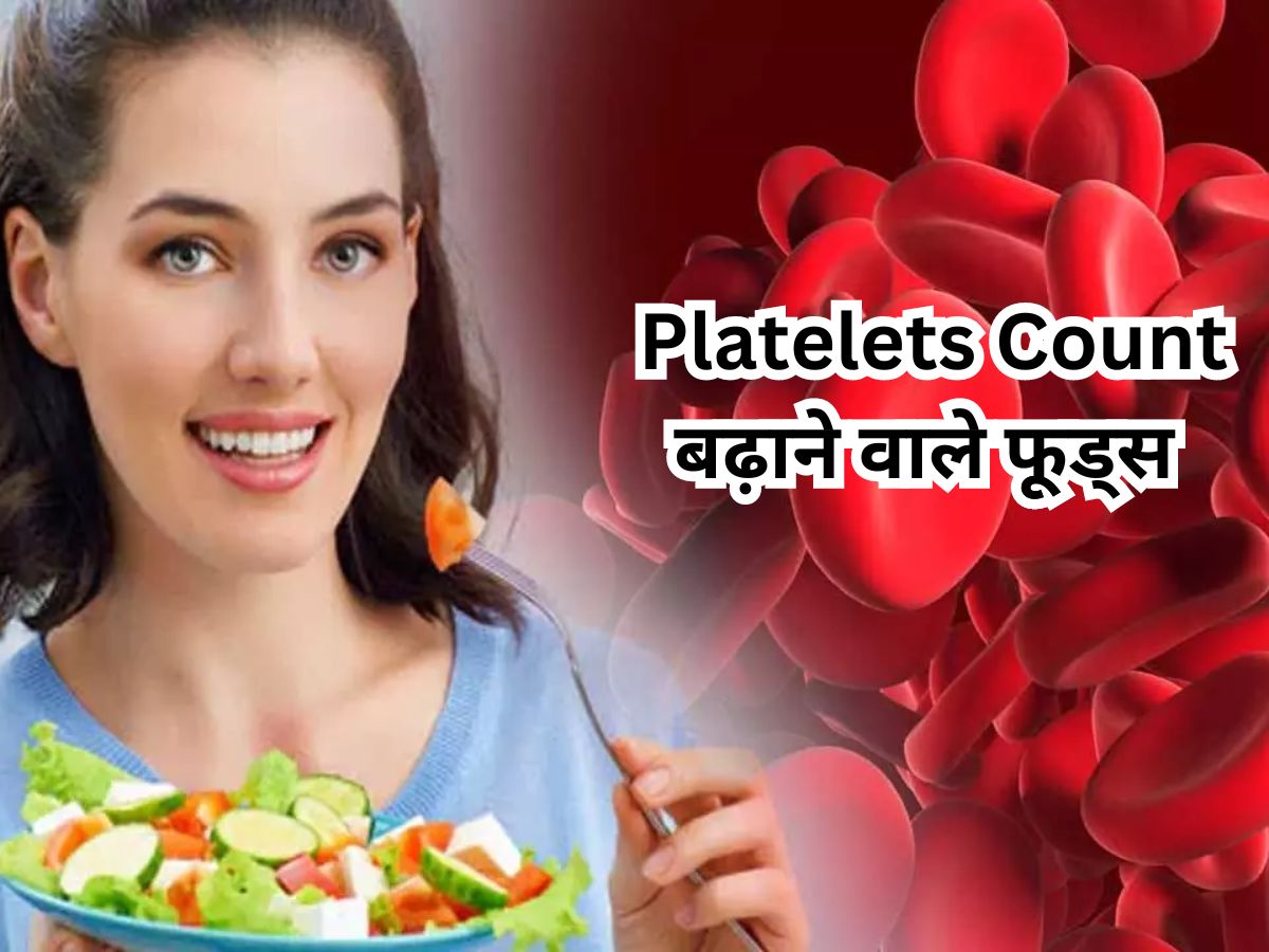 Dengue Diet: डेंगू की बीमारी में तेजी से गिरते हैं प्लेटलेट्स, यहां जानिए खून बढ़ाने वाले फूड्स की लिस्ट Dengue Diet: डेंगू की बीमारी में तेजी से गिरते हैं प्लेटलेट्स, यहां जानिए खून बढ़ाने वाले फूड्स की लिस्ट