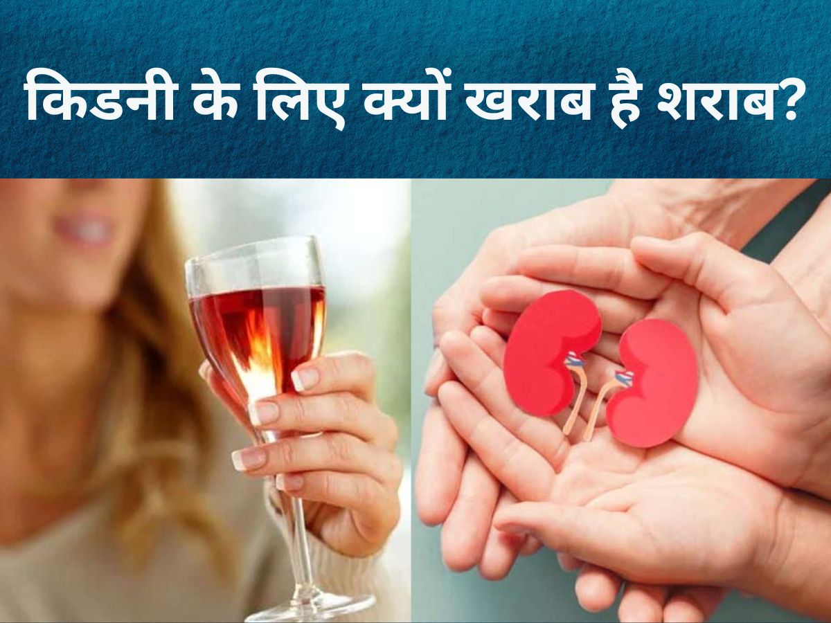 Kidney के लिए क्यों नुकसानदेह है शराब? वजह जानेंगे तो तोड़ देंगे इस विलेन से नाता Kidney के लिए क्यों नुकसानदेह है शराब? वजह जानेंगे तो तोड़ देंगे इस विलेन से नाता