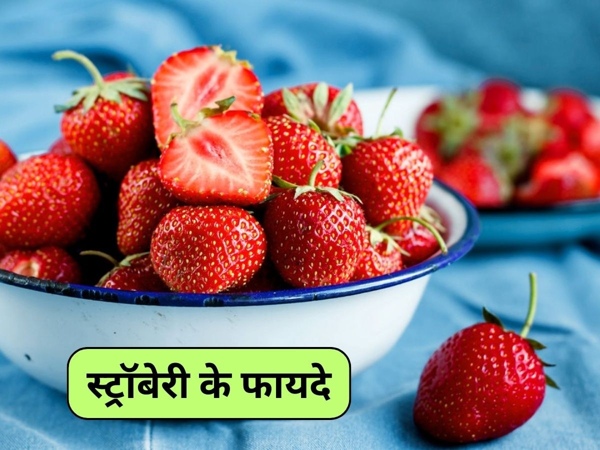 Strawberry Benefits: यह छोटी-सी बेरी कैंसर से करती है बचाव! जानें इसके अनोखे फायदे  