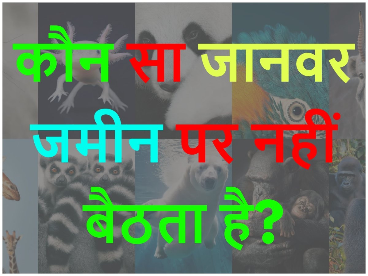 Quiz: कौन सा जानवर जमीन पर नहीं बैठता है?