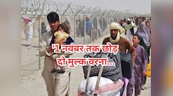 '1 नवंबर तक छोड़ो मुल्क', PAK का 11 लाख अफगानियों को फरमान; अब क्या करेगा तालिबान?