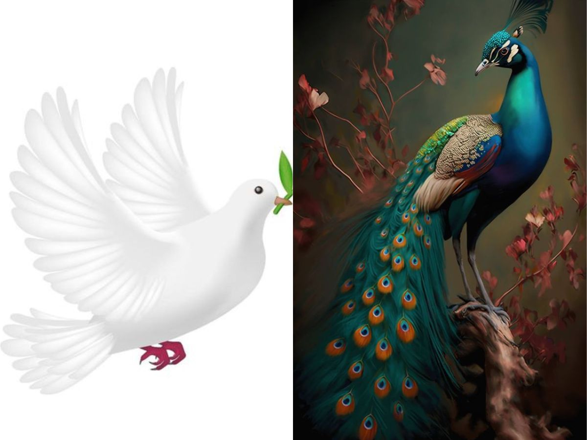 Vastu Tips pictures of these birds in the house for special benefits